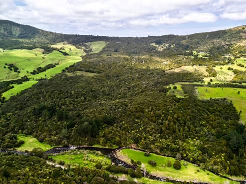 6754 State Highway 12, Omapere