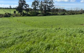 0pp/379 Corbett Road, Lepperton