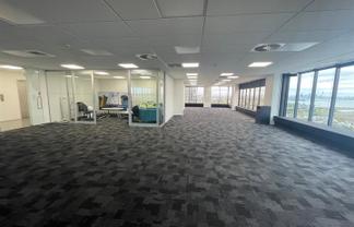 Unbeatable Views in Takapuna