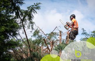 Leading Local Tree Maintenance Business - Strong Profit Margins & Consistant Turnover