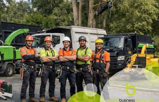 Successful Tree Maintenance Business - Auckland To North