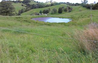 118 Paparoa Station Road, Paparoa