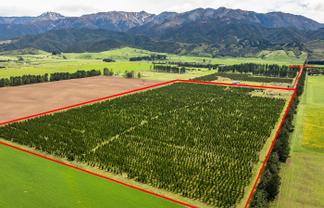 461 Woodbank Road, Hanmer Springs