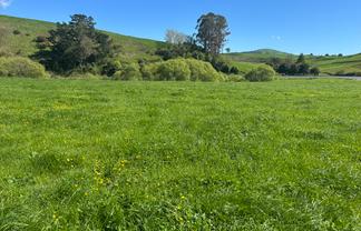 Lot 1, 51 Kiwi Road, Pirongia