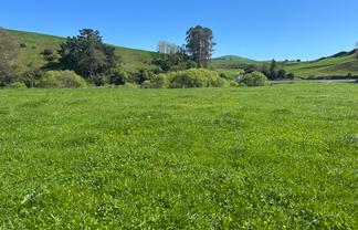 Lot 2, 51 Kiwi Road, Pirongia