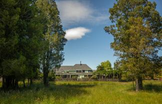 What A Fun Lifestyle