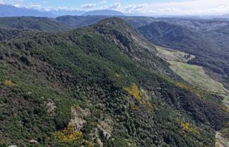 3730b Blackmount Redcliff Road, Blackmount