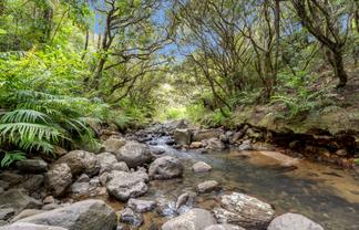 5 Silverstream Falls Row, Whenuakite