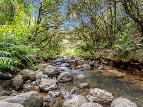 5 Silverstream Falls Row, Whenuakite