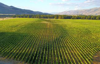 351 Maori Point Road, Tarras