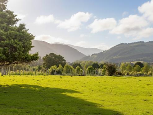 284 Woodside Road, Featherston
