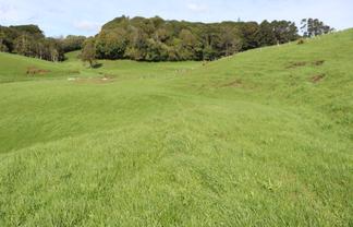 Lt2/310 Henwood Road, Bell Block