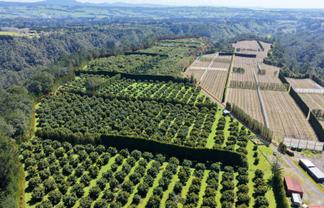 232C Williams Road North, Pyes Pa