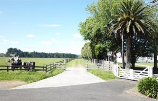 131 Saddleton Road, Waiau Pa