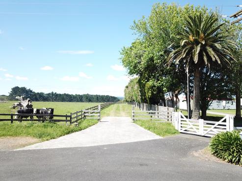 131 Saddleton Road, Clarks Beach