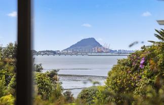 244 Maungatapu Road, Maungatapu