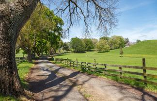 835 Buckland Road, RD 2, Matamata