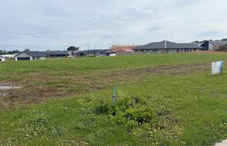 36 Frontier Road, Te Awamutu