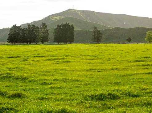 2225 State Highway 2, Nuhaka/Morere