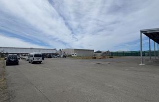 805 Orchard Road – Rear Yard