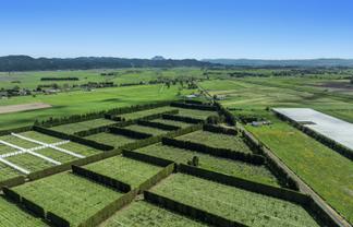 37 Selwyn Road, Poroporo