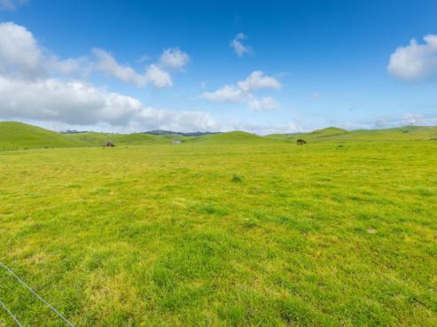 740D Tainui Road, Tahuna