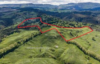 558 Old Coach Road, Te Pohue