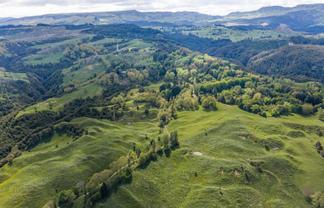 558 Old Coach Road, Te Pohue