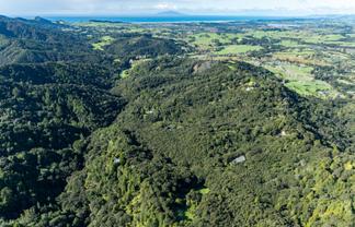 300 King Road, Mangawhai