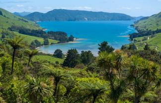 565 Anakoha Road, Marlborough Sounds