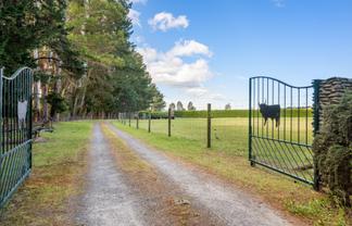 1944 State Highway 63, Wairau Valley