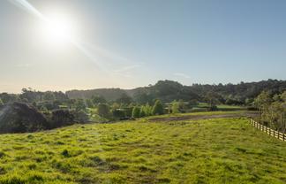 19 Elmore Road, Paremoremo
