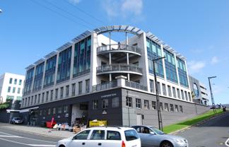 Bright, Bold, and Business-Ready - 167sqm Mt Eden