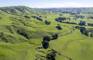 2472 Opaki Kaiparoro Road, Eketahuna