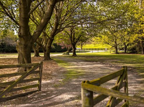 259 Arrowtown-lake Hayes Road, Dalefield/Wakatipu Basin