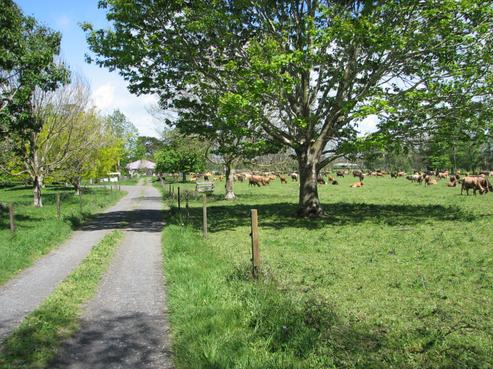 1704 Te Aroha-gordon Road, Gordon