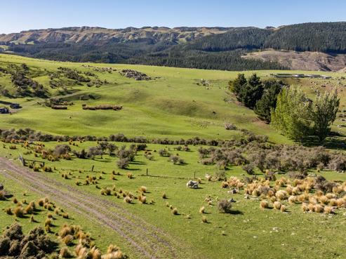 614 Omihi Road, Waipara