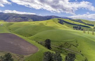 1537 Geraldine-Fairlie Highway , Fairlie