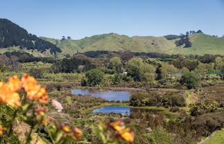 91 Koutunui Road, Athenree