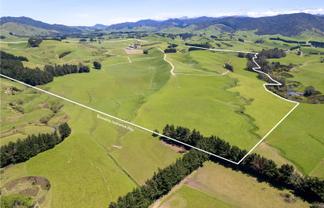 184 South Road No 2, Eketahuna