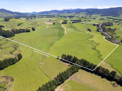 184 South Road No 2 , Eketahuna