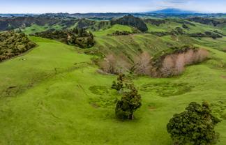 59 Tawhiwhi Road, Matau