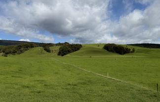 85 Allan Road, Otautau