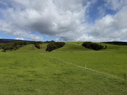 85 Allan Road, Otautau