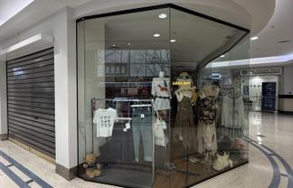 Central Auckland Shop - Affordable Rent