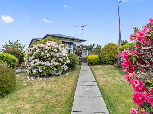 62 Evans Street, Maori Hill