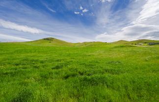 Lot Lots 1-11,, 173 Corrigall Road, Omakau, Alexandra