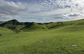 268a Tiriraukawa Road, Taihape and Surrounds