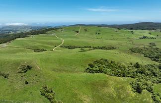 89 Jones Road, Dargaville