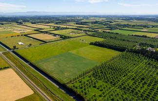 2 Lots Sold | Live, Landbank or Build